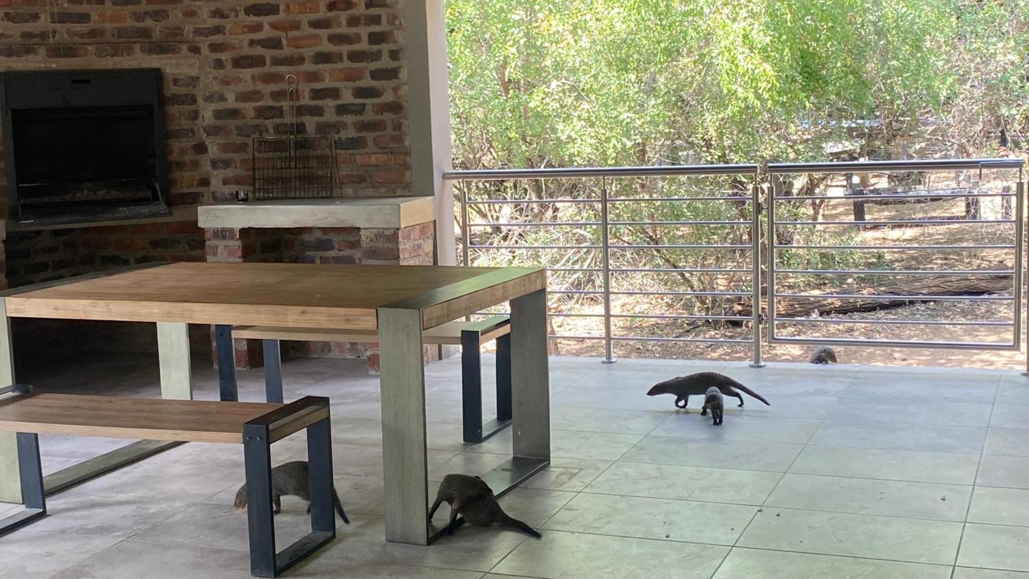 Villa Ikigai4617 Marloth Park